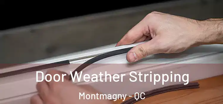  Door Weather Stripping Montmagny - QC
